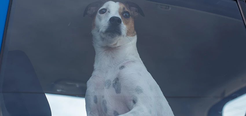 Car Lockout Solutions in Oildale, California