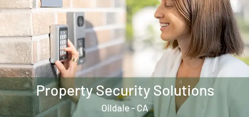  Property Security Solutions Oildale - CA